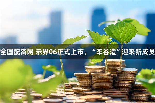 全国配资网 示界06正式上市，“车谷造”迎来新成员