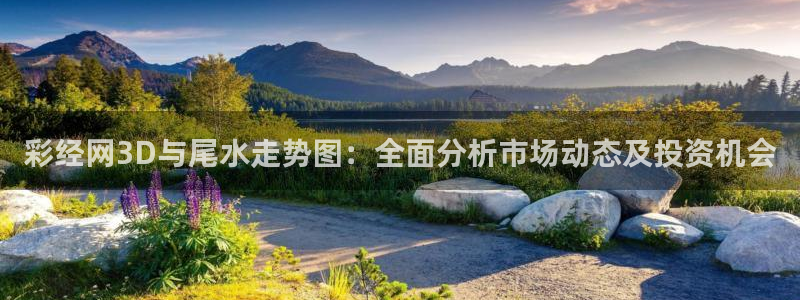 彩经网3D与尾水走势图：全面分析市场动态及投资机会