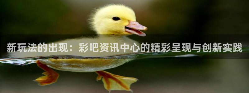 新玩法的出现：彩吧资讯中心的精彩呈现与创新实践