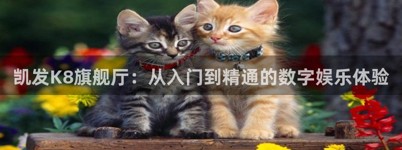 狗子28下载