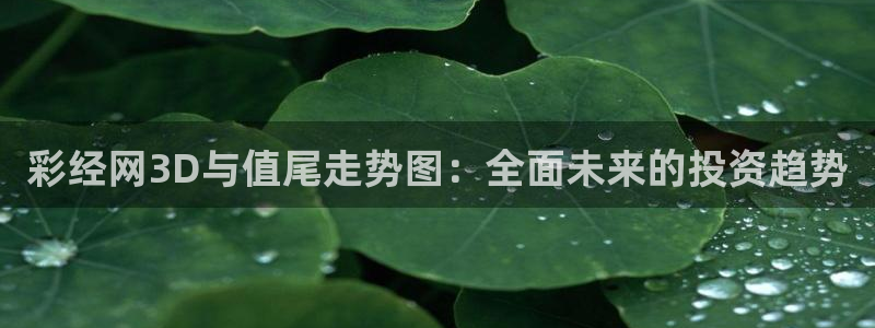 狗子28游戏登录入口