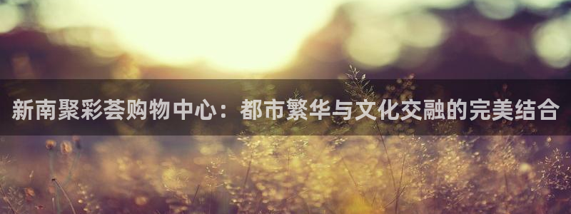 狗子28pg官网下载：新南聚彩荟购物中心：都市繁华与文化交融的完美结合