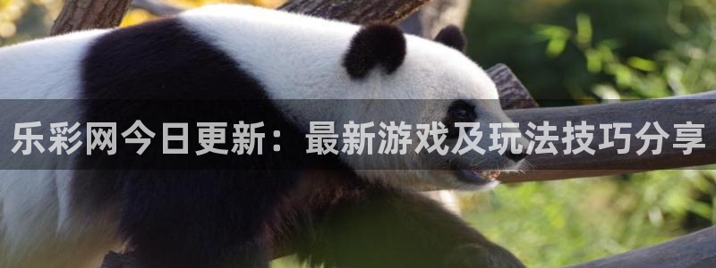 狗子28圈平台官网版下载：乐彩网今日更新：最新游戏及玩法技巧分享