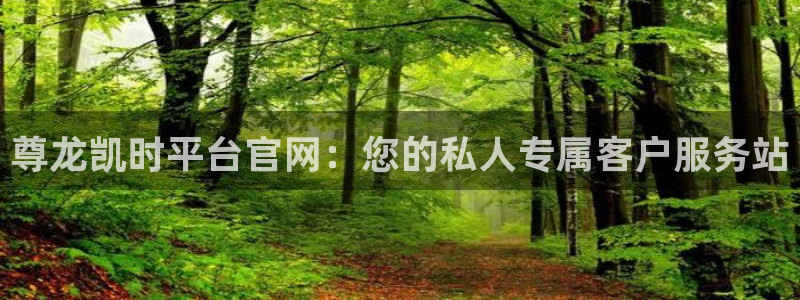 狗子28平台：尊龙凯时平台官网：您的私人专属客户服务站