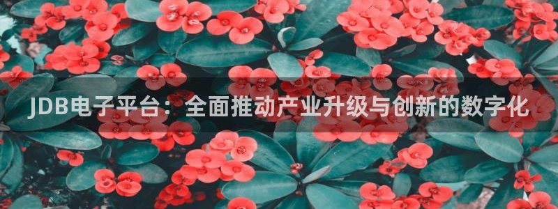 狗子28游戏官网入口注册：JDB电子平台：全面推动产业升级与创新的数字化