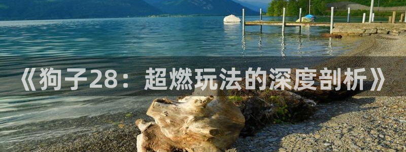 狗子28平台：《狗子28：超燃玩法的深度剖析》