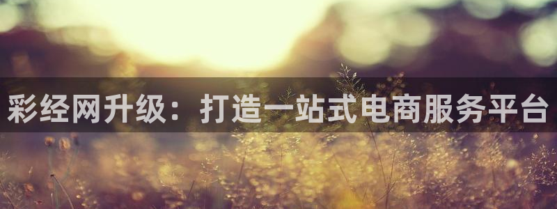 狗子28棋牌软件特色：彩经网升级：打造一站式电商服务平台